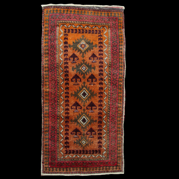 Afghan Baluch Gowalag